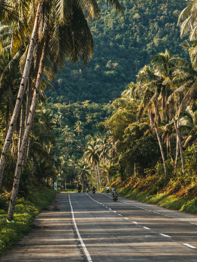 Coconut Road Siargao