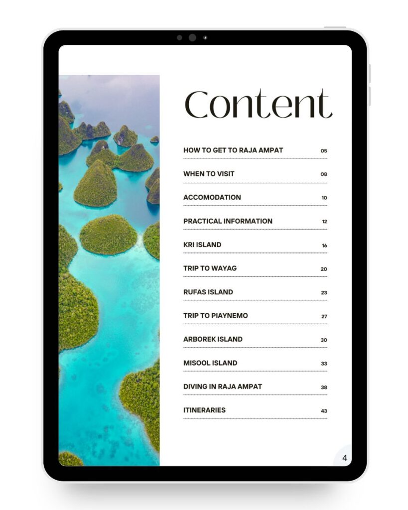 Complete guide to raja Ampat.