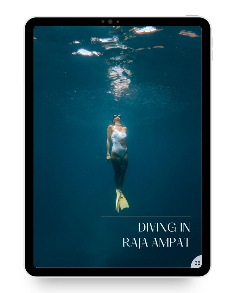 Diving in Raja Ampat.