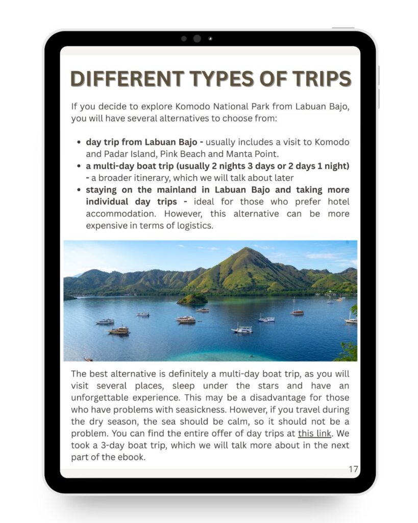 How to visit Komodo National Park.